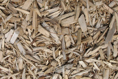 biomass boilers Stainsacre